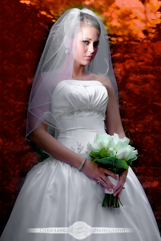 My Image