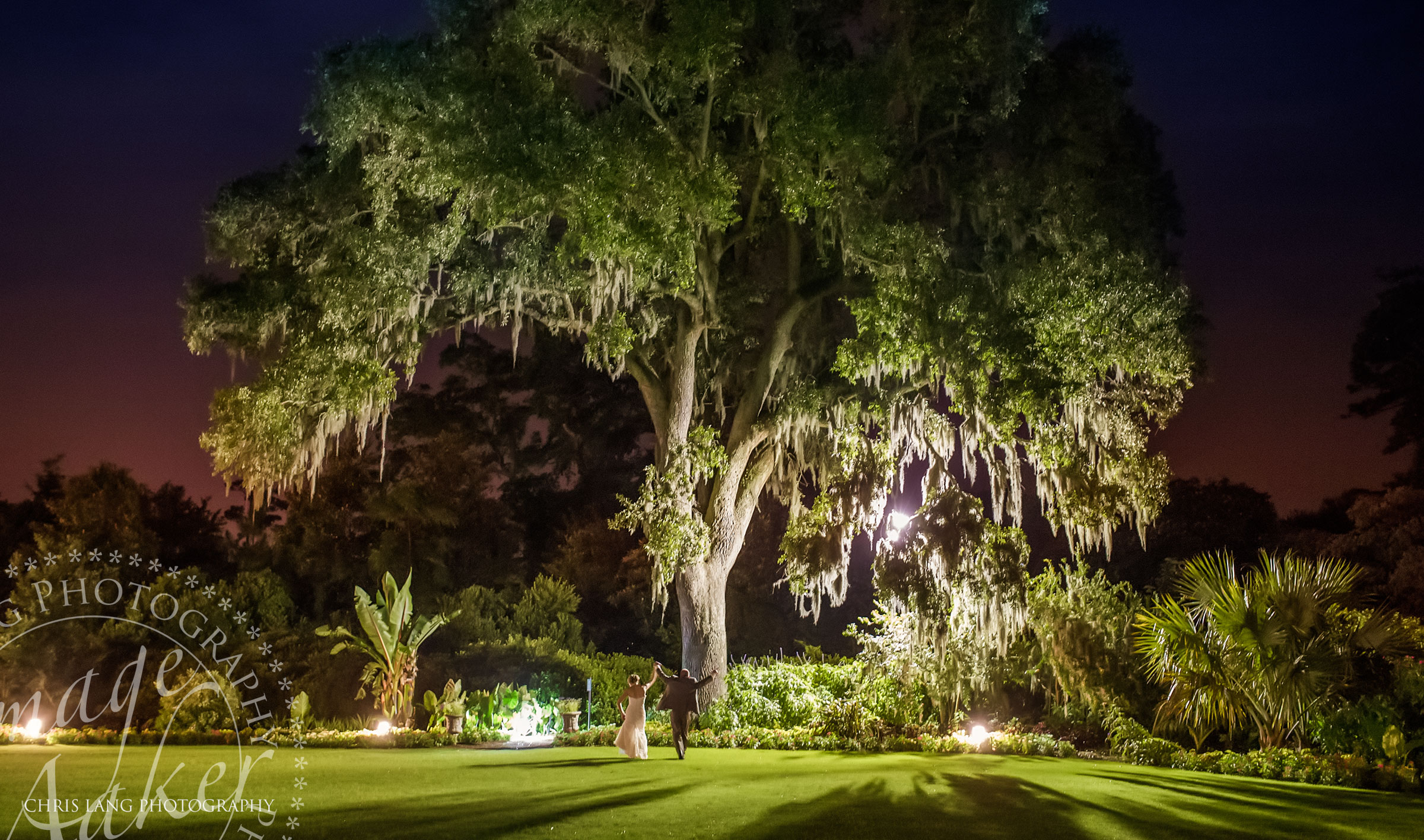 Nighttime-Wedding-Picture-of Wedding-Couple-in-Front-Of-the-large-oak-at-Airlie-Gardens-Wedding Picture Ideas- Wilmington Weddings