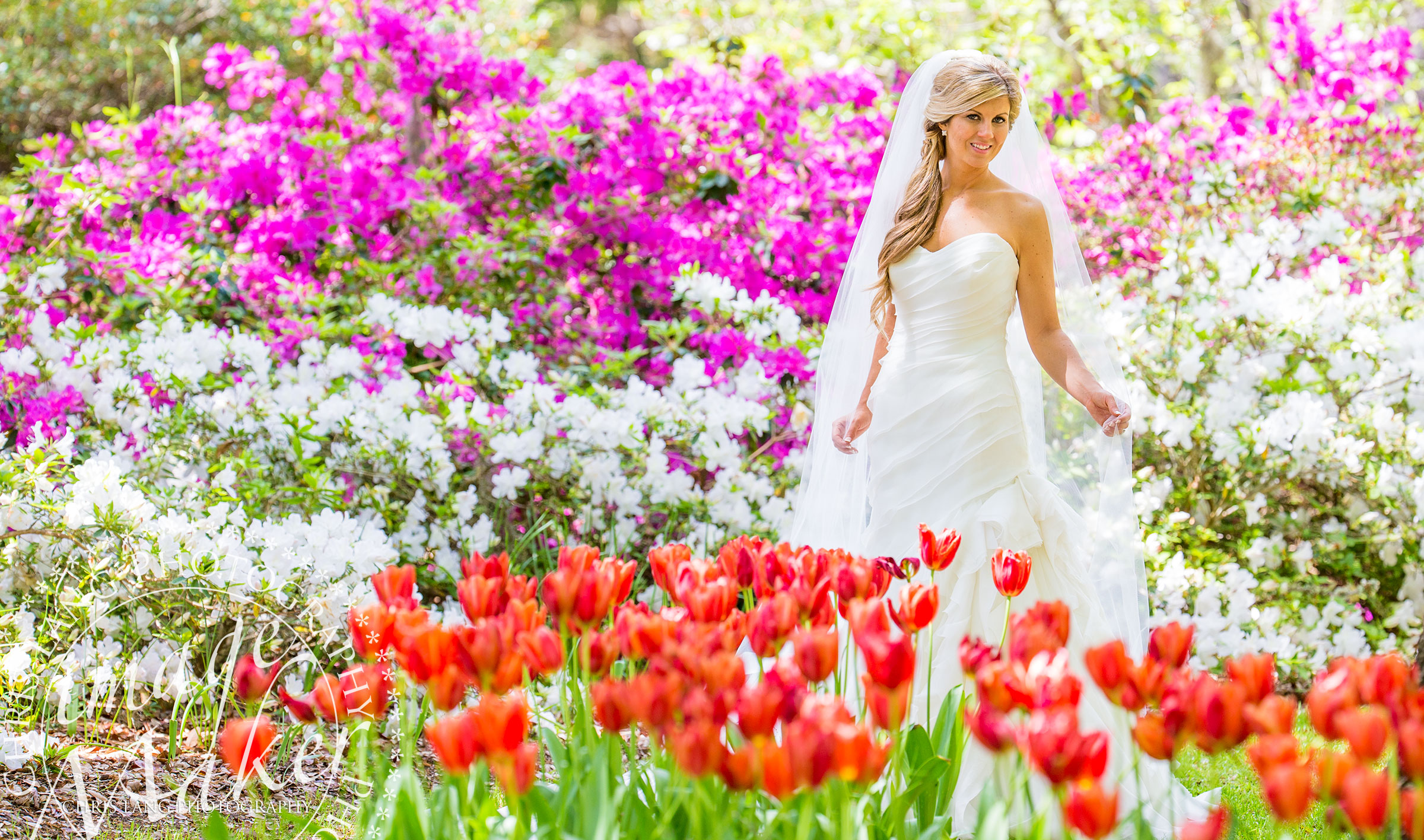 bridal portraits, bridals, wedding dress, wedding gown, bridal session, bridal photography, Wilmington NC Bridal Photographer