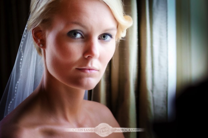 bridal portraits, bridals, wedding dress, wedding gown, bridal session, bridal photography