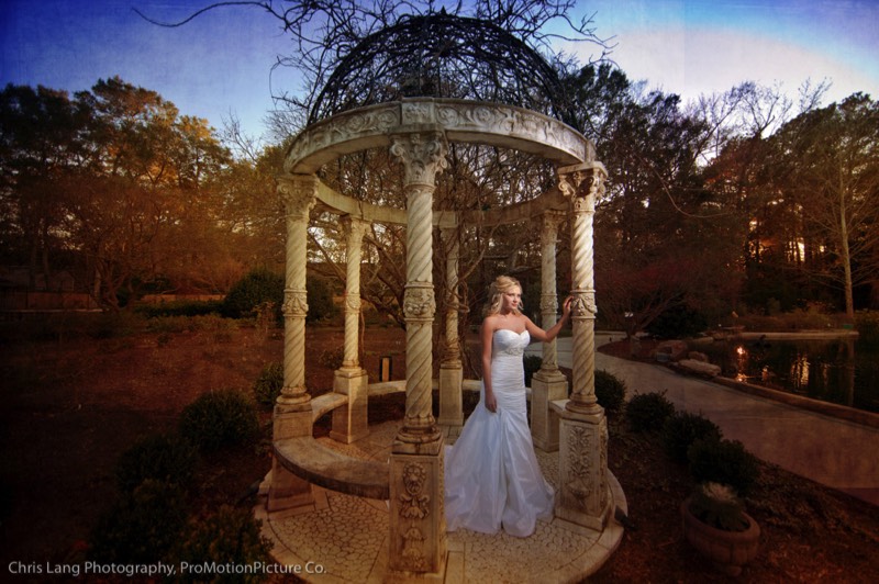 Bridal Photography, Bridal Portraits, Bridals, Wedding Dress, Wedding Gown, Bridal Session, Bridal Trends, Bridal Ideas