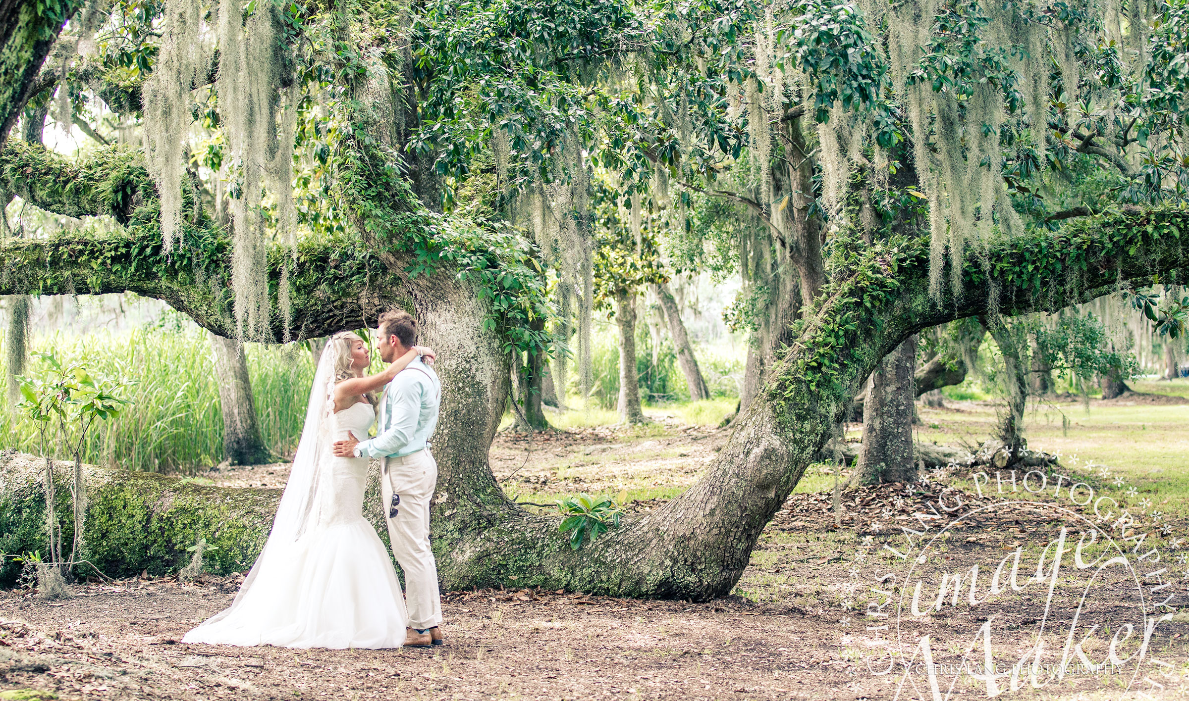 Wedding picture of a bride and groom standing under a large southern oak tree.  Southern weddings Wilmington NC Photographer
