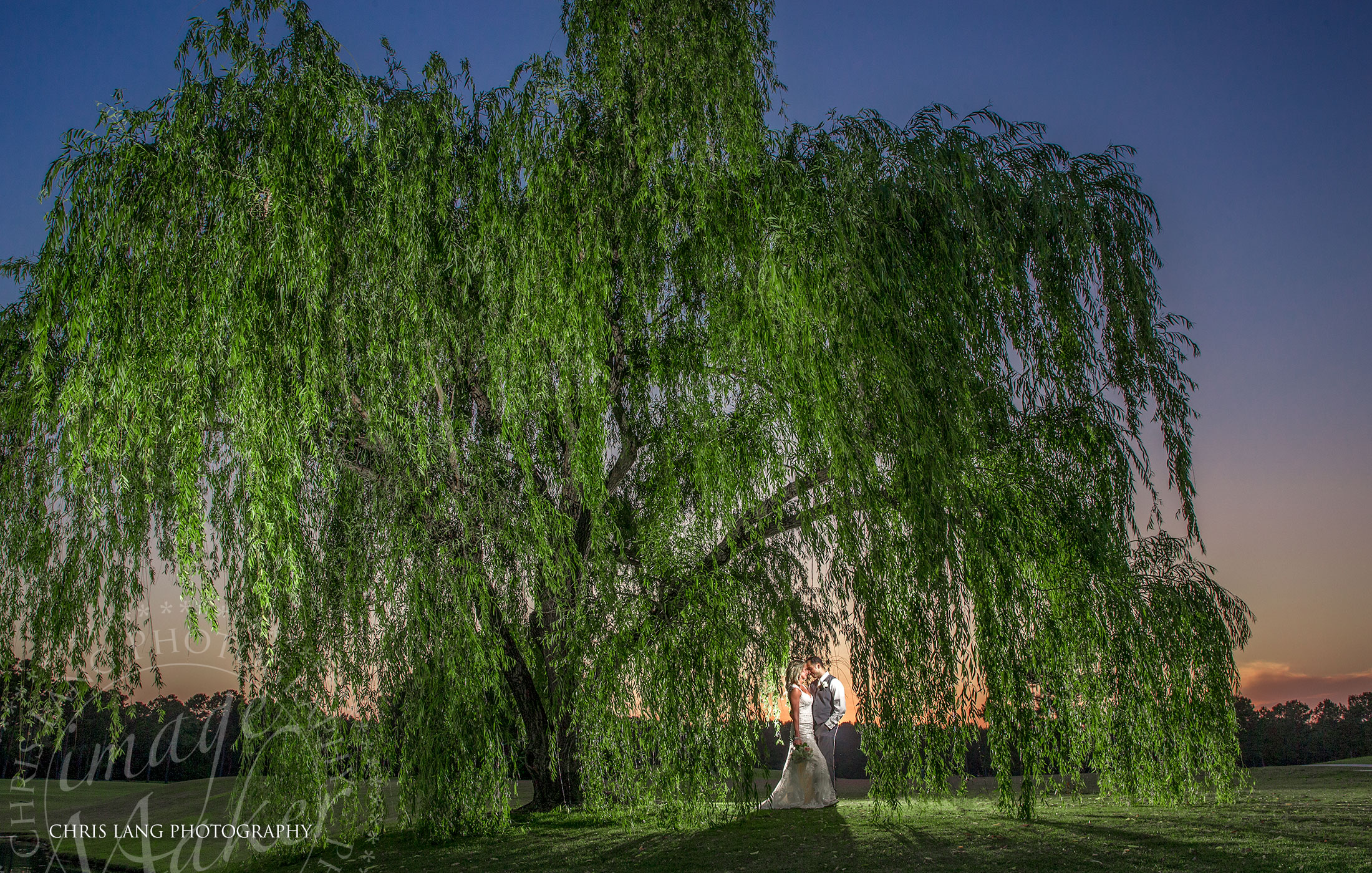 The willow tree at Porters Neck Country Club - Image of bride & groom under the willow tree - Porters Neck Country Club Weddings