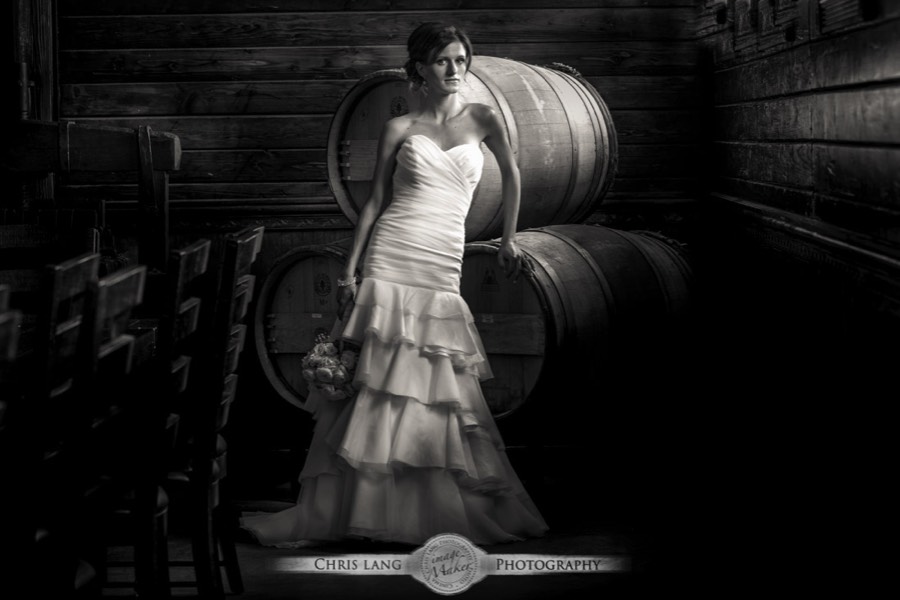 Fine-Art-Bridal-Photography-in-Black-and-White-Pictures-Ideas-and-Inspiration-Wilmington NC Wedding Photographers-Style-Trends