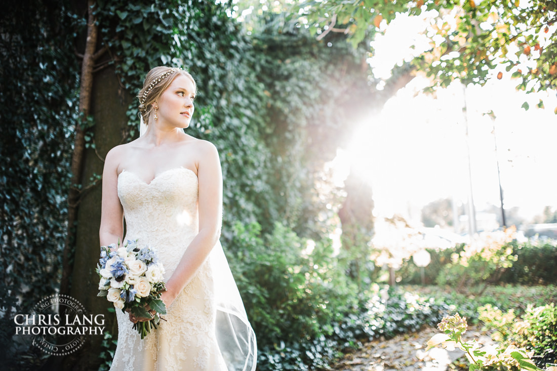 bridal portrait photo - brooklyn arts center - bridal portrait photography - bridal portraits - bride - wedding dress - ideas - wilmington nc -