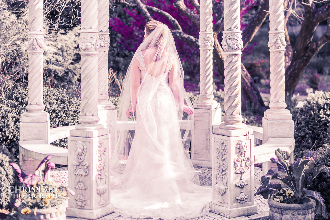 bridal photography - bridal portrait photography - bridal portraits - bride - wedding dress - ideas - wilmington nc -