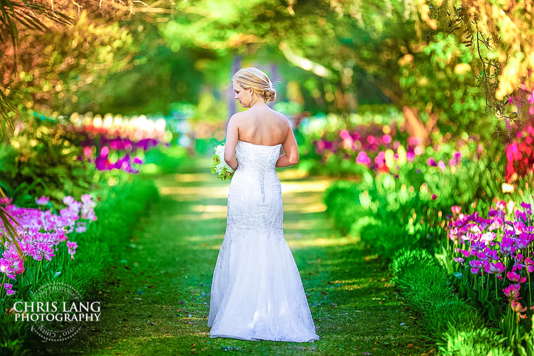 sprinf flowers in airlie gardens - azaleas - airlie brides - bridal portrait photography - photographers - bridal portraits - bride - wedding dress - ideas - wilmington nc