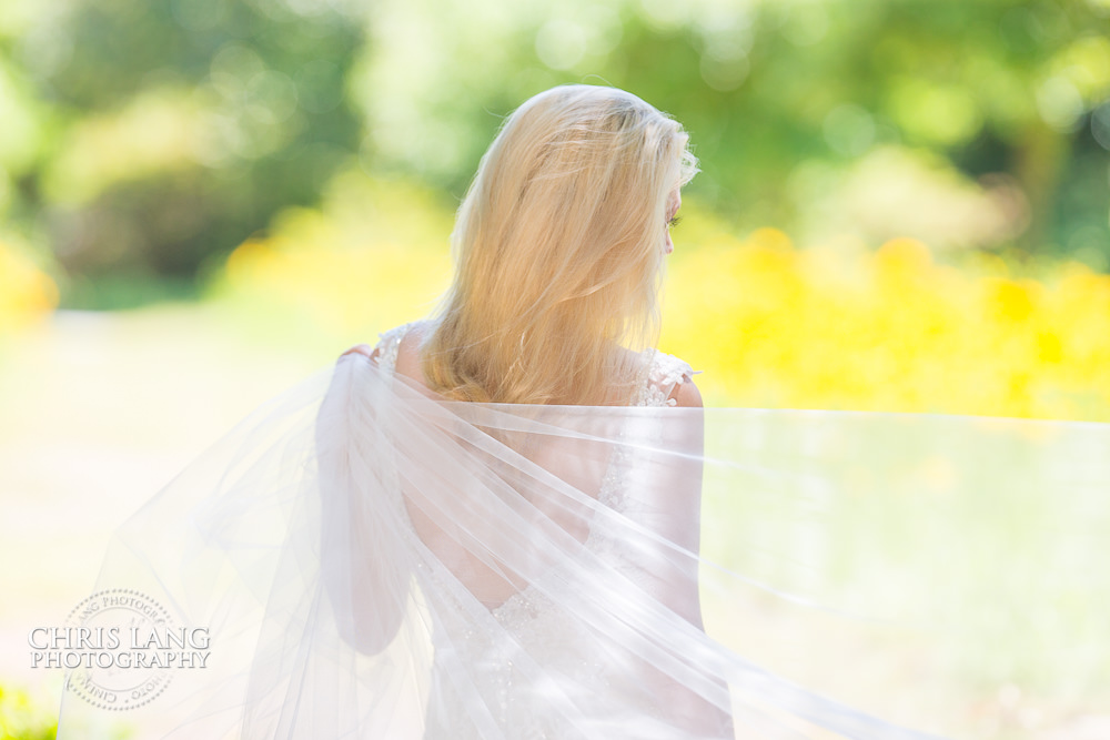 Airlie Gardens bridal photography - Airlie brides - bridal portrait photography - photographers - bridal portraits - bride - wedding dress - ideas - wilmington nc