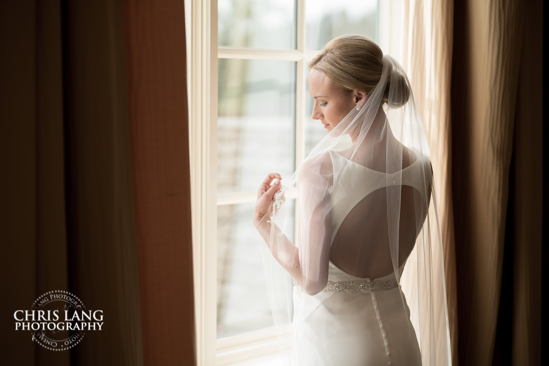 wilmington  bridal portrait photography - bridal portrait photography - photographers - bridal portraits - bride - wedding dress - ideas - wilmington nc