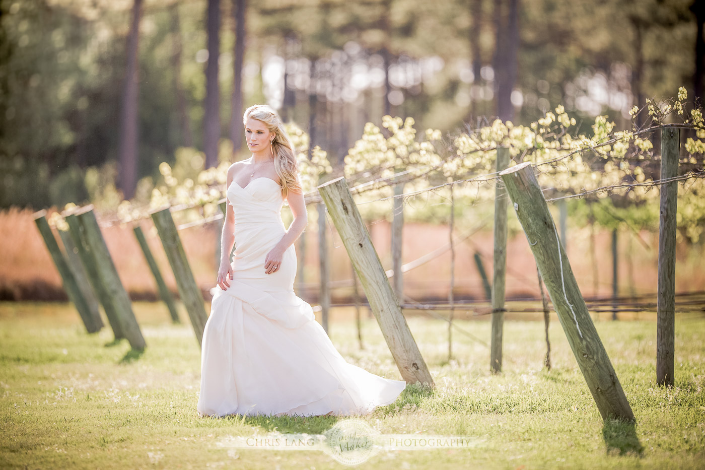 bridal portrait  - VInyards -  Airle Gardens - Wilmington NC bridal portrait photographers