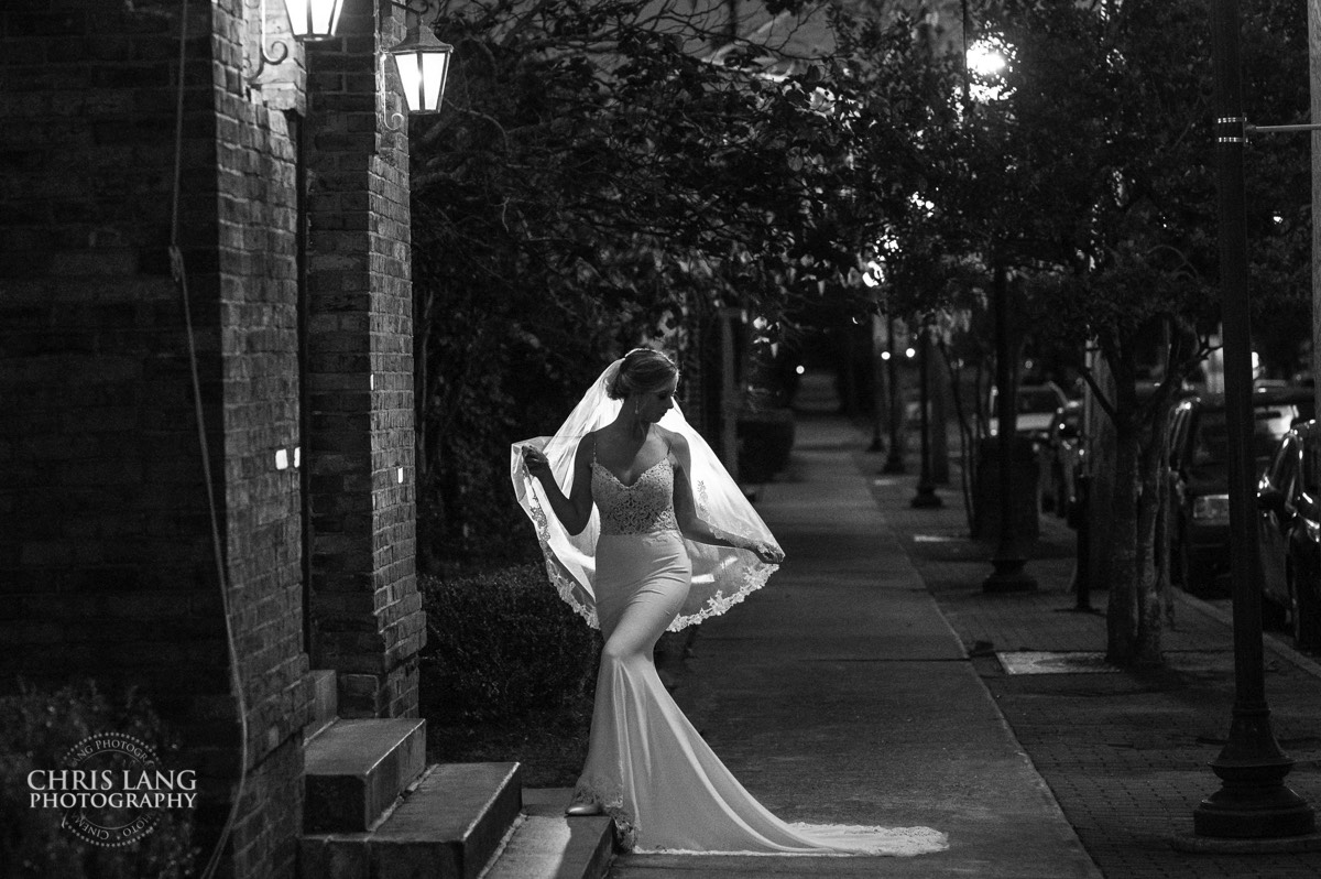 Picture of bride outside - Street lamps - classic wedding photo - brooklyn arts center - weddings - wedding venue -  wedding photo - ideas - wilmington nc - chris lang photography 