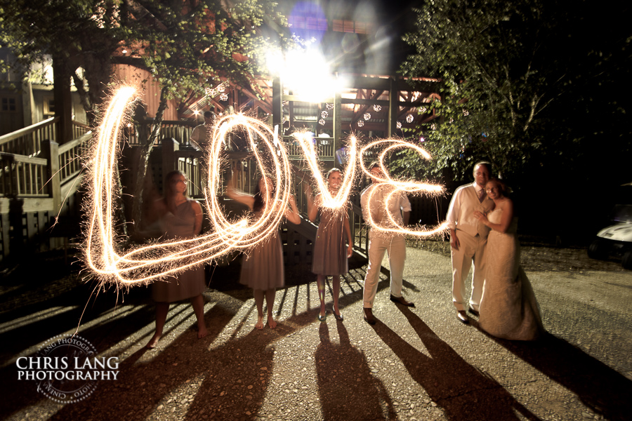 Sparkler Picture with bridal party - River Living Weddings - The RIver Lodge - Wedding Photography