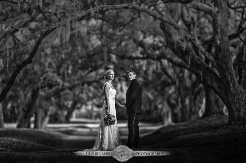 Fine Art-Wedding-Photography-Pictures-Ideas-Inspiration-Real Weddings-Wilmington-NC-Photographers-Orton Plantation