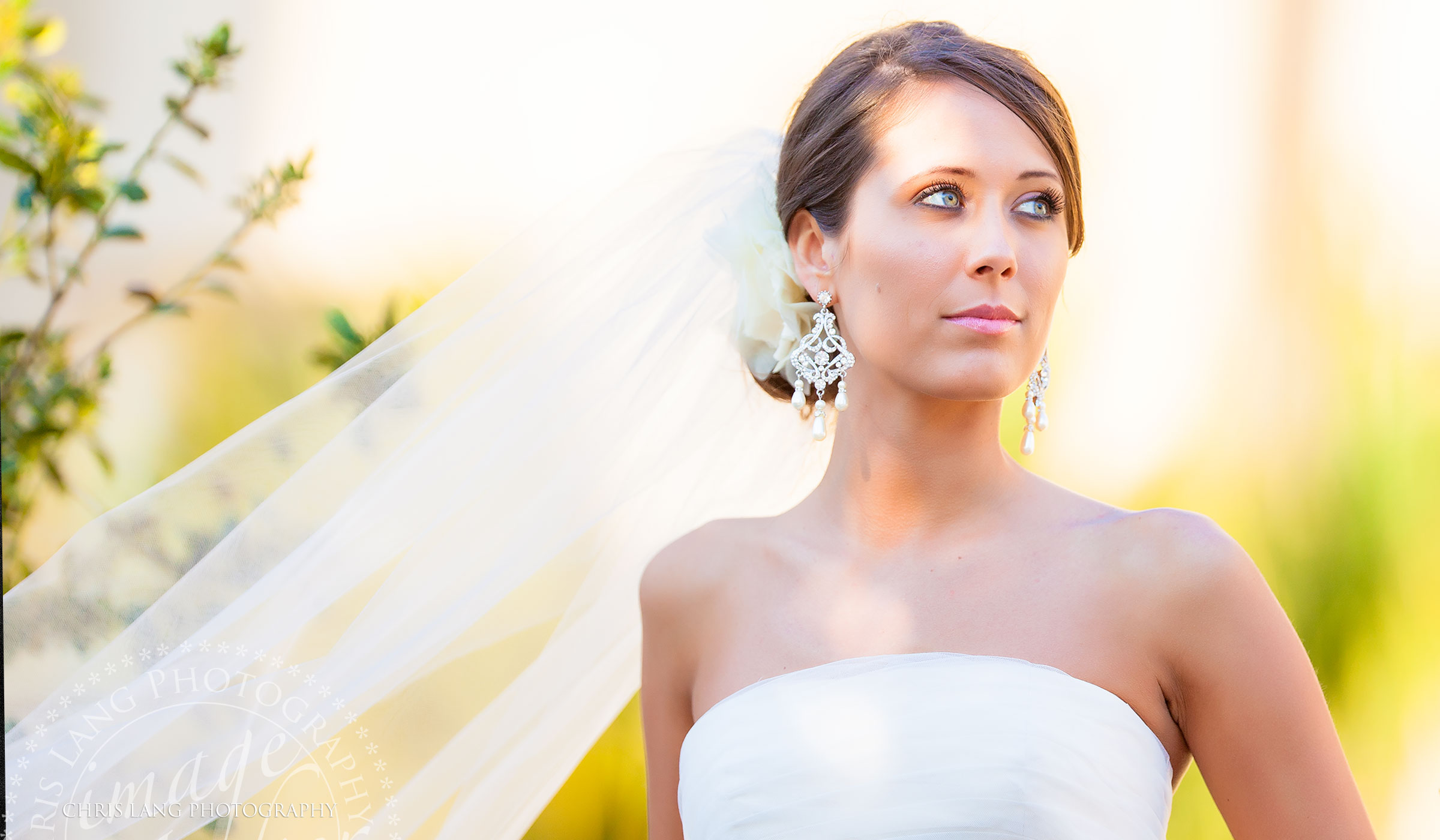 Image of Beautiful Bride | Wedding Picture Ideas | Brides | Wedding Dress | Bridal |  Bridal Portraits | Wilmington NC Wedding Photographers