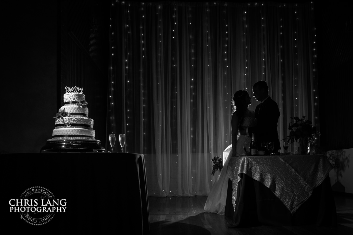 cake photo - brooklyn arts center - wedding reception photos - wedding reception ideas -bride - groom - wilmington nc wedding photography - 