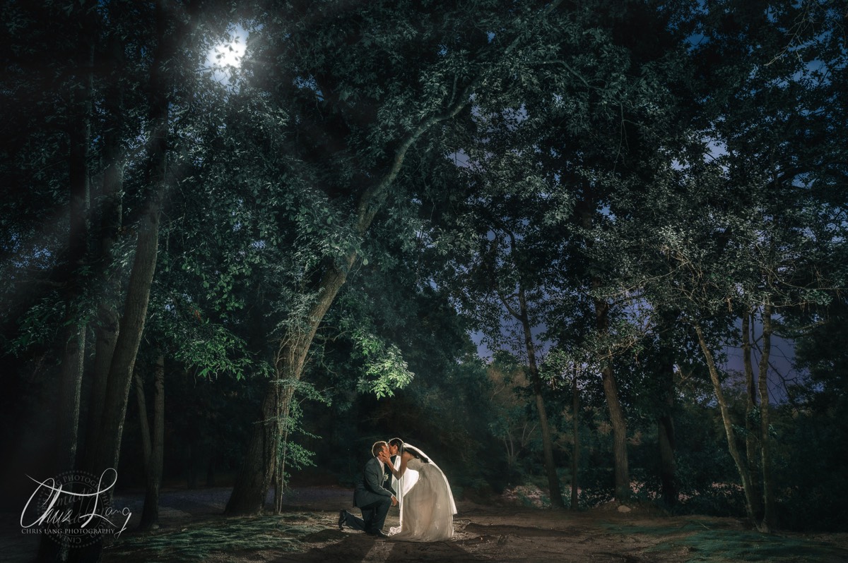 bride and groom under a tree by the cape fear river - wilmington nc wedding photographers - creative wedding photo - signature portrats - wedding ideas - bride - groom - wedding dress -