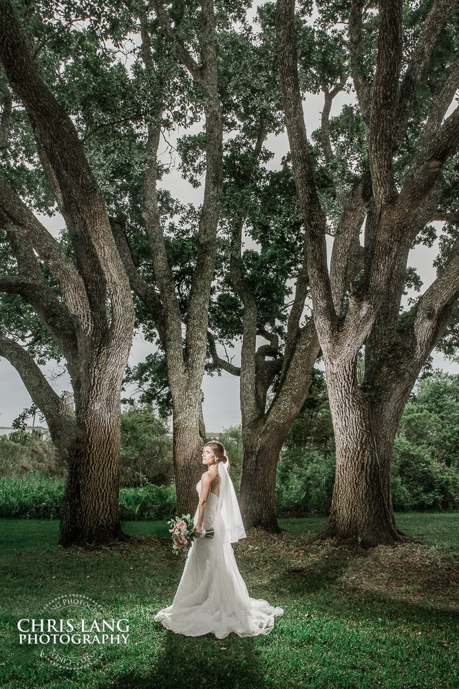 bridal photography - southern oak trees - marker 137 wedding venue - wilmington nc- wedding photography - bride - groom-  wedding photographers  - outdoor wedding venue - wedding photo ideas